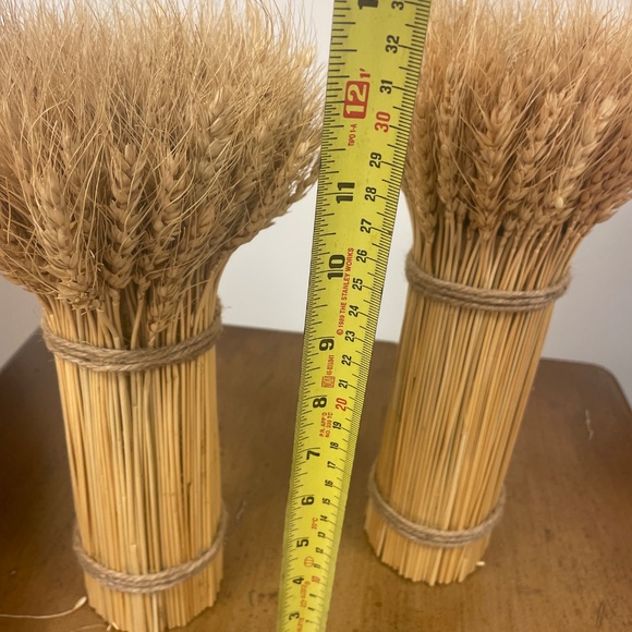 Pottery Barn set of 2 -13" high Decorative tied Wheat stacks - Picture 3 of 6